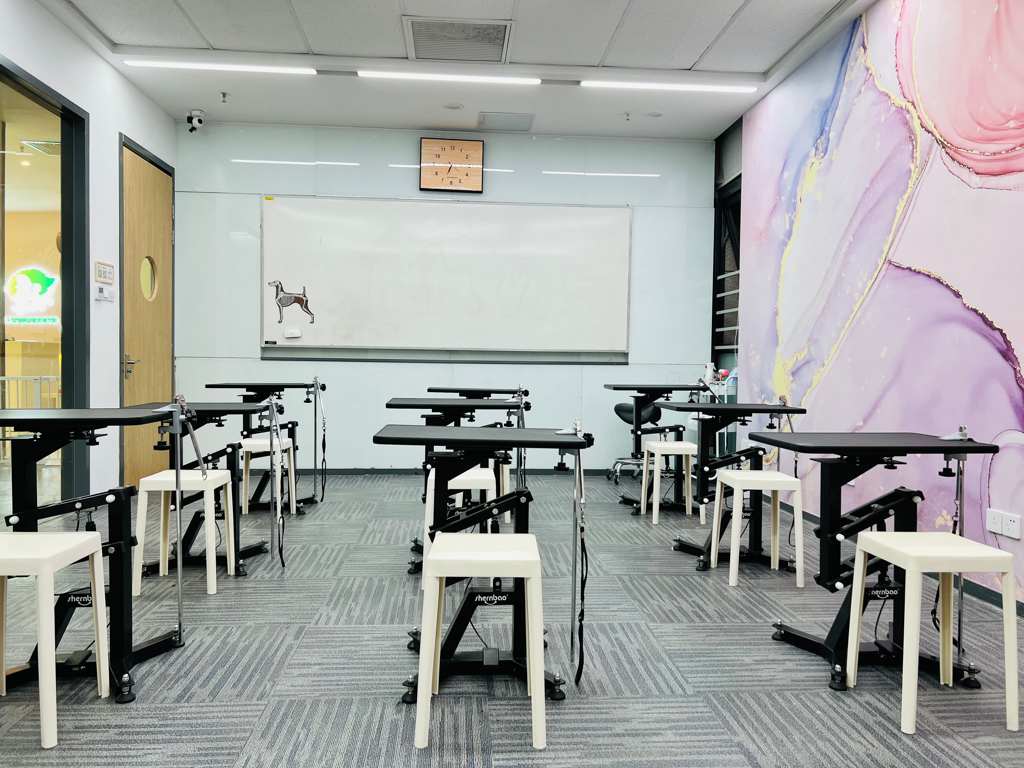 春天宠物美容师培训学校南京总校校区